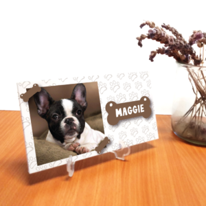 Suporte PVC com animal de estimação Animais de estimação